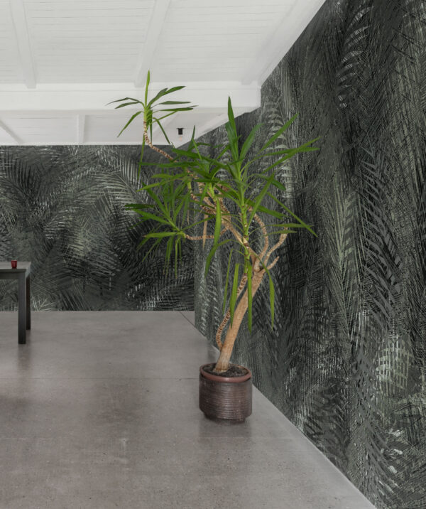 The Areca Grey